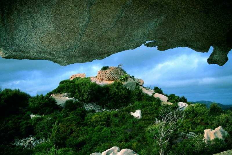 nicola-calta-arzachena